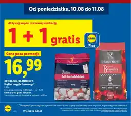 Lidl Brykiet z węgla drzewnego Grill & Fun oferta