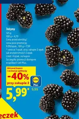 Lidl Jeżyny Ryneczek Lidla oferta