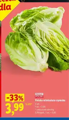 Lidl Minisałata rzymska 2-pak Ryneczek Lidla polska oferta