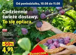 Lidl Śliwki niebieskie polskie Ryneczek Lidla oferta
