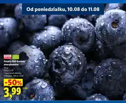Lidl Borówki amerykańskie polskie oferta