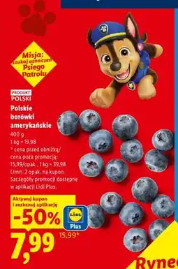 Lidl Polskie borówki amerykańskie Ryneczek Lidla oferta
