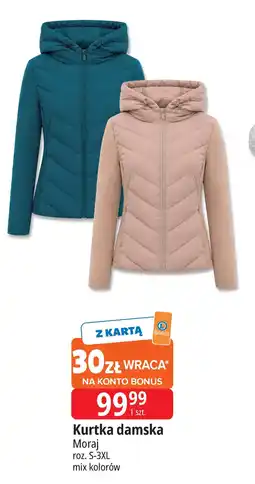 E.Leclerc Kurtka damska Moraj oferta