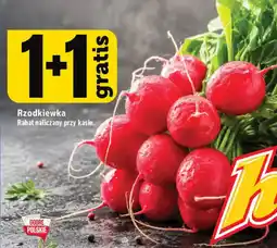 Topaz Rzodkiewka oferta