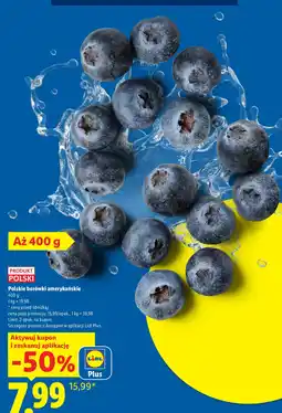 Lidl Polskie borówki amerykańskie oferta