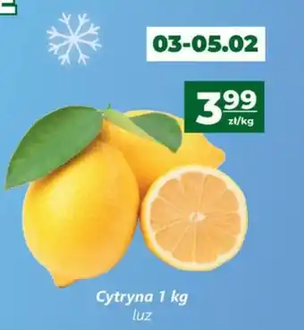 Top Market Cytryna 1kg oferta