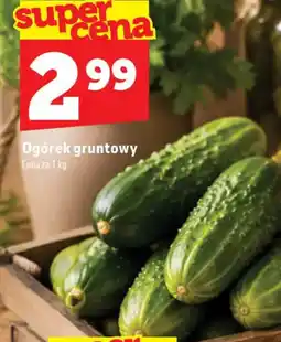 Topaz Ogórek gruntowy oferta