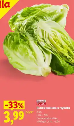 Lidl Polska minisalata rzymska oferta