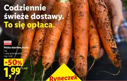 Lidl Polska marchew, luzem oferta