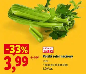 Lidl Polski seler naciowy oferta