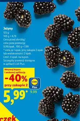 Lidl Jeżyny oferta