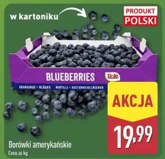 Borówki amerykańskie