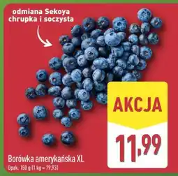 ALDI Borówka amerykańska XL oferta
