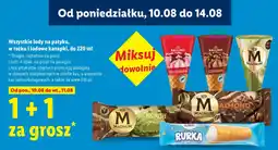 Lidl Lody na patyku, w rożku i lodowe kanapki oferta