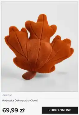 Home&You Poduszka dekoracyjna home&you Clonisi oferta