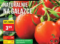 Biedronka Pomidory na gałązce na wagę oferta