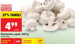 Biedronka Pieczarka, opak oferta