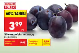 Biedronka Śliwka polska na wagę oferta