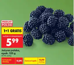 Biedronka Jeżyna polska, opak oferta