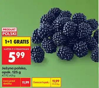 Biedronka Jeżyna polska, opak oferta