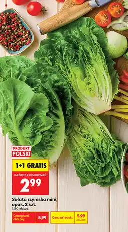 Biedronka Sałata rzymska mini oferta