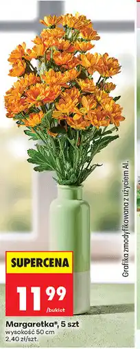 Biedronka Margaretka*, 5 szt oferta