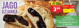 Biedronka Jagodzianka oferta