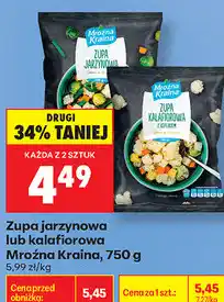 Biedronka Zupa jarzynowa lub kalafiorowa Mroźna Kraina oferta