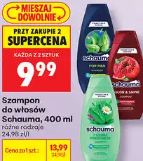 Biedronka Szampon do włosów Schauma oferta