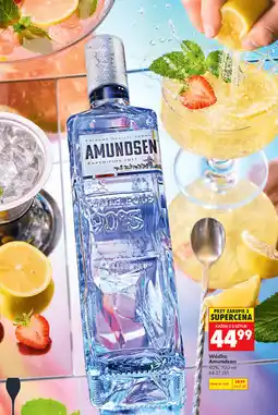 Biedronka Wódka Amundsen 40% oferta