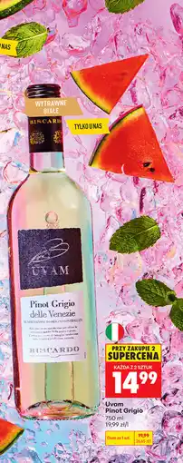 Biedronka Uvam Pinot Grigio oferta