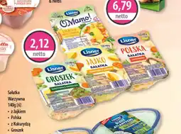 DUO-TES Sałatka Warzywna oferta