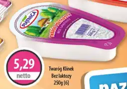 DUO-TES Twaróg Klinek Bez laktozy oferta