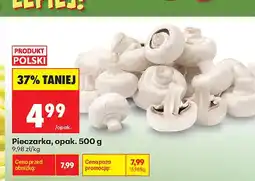 Biedronka Pieczarka świeża oferta