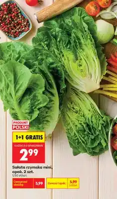 Biedronka Sałata rzymska mini 2-pak oferta