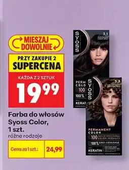 Biedronka Farba do włosów Syoss Color 3_1 oferta