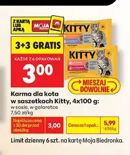 Biedronka Karma dla kota w saszetkach Kitty 4-pak oferta
