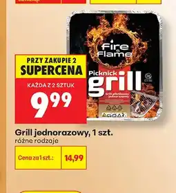 Biedronka Grill jednorazowy Fire Flame oferta