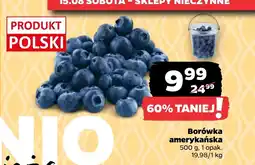 Netto Borówka amerykańska UD oferta