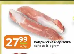 Społem Częstochowa Polędwiczka wieprzowa oferta