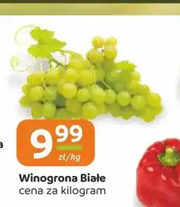 Społem Częstochowa Winogrona białe oferta