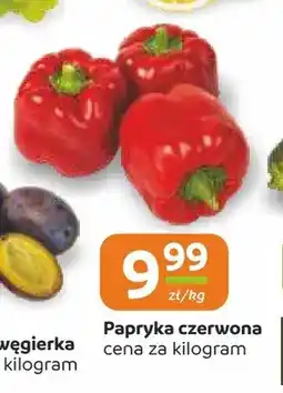 Społem Częstochowa Papryka czerwona oferta