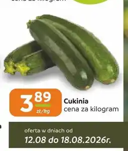 Społem Częstochowa Cukinia oferta