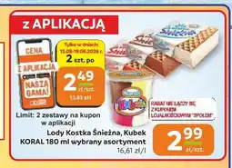 Społem Częstochowa Lody w kubku Koral oferta