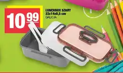 Spar Lunchbox szary 22x14x8,5 cm Galicja oferta