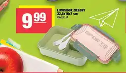 Spar Lunchbox zielony 22,5x16x7 cm Galicja oferta