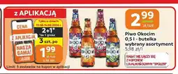 Społem Częstochowa Piwo Okocim Chmielowe oferta