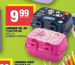 Spar Lunchbox IML Joy 11,5x17x9 cm Galicja oferta