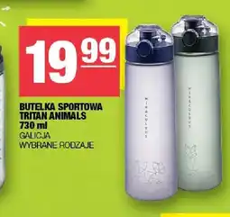 Spar Butelka sportowa Tritan Animals Galicja oferta