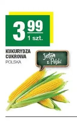 Spar Kukurydza cukrowa polska oferta